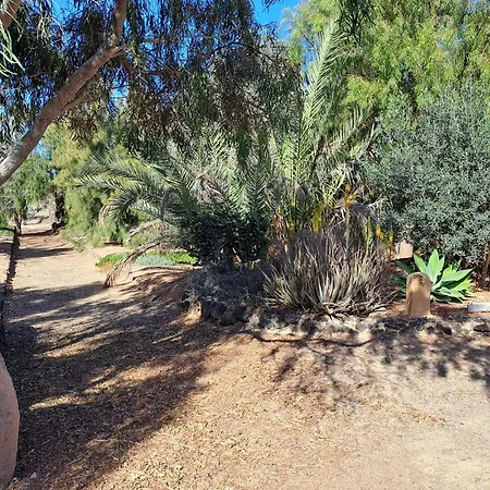 Oasis San Martin El Cotillo