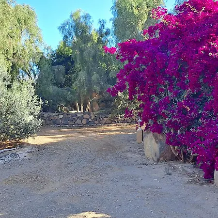 Oasis San Martin El Cotillo *