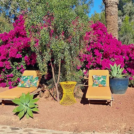 Oasis San Martin El Cotillo Holiday home