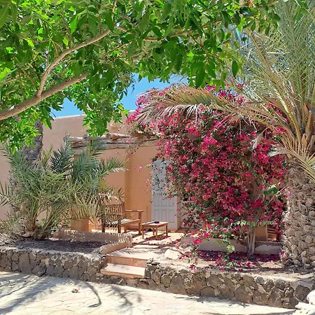 Oasis San Martin El Cotillo